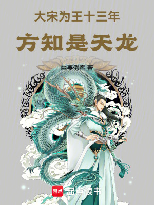 大宋为王十三年,方知是天龙